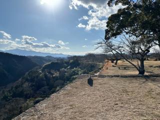 岡城の登城記録(とよくんさん)