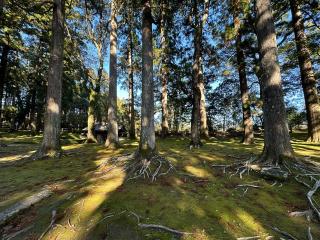 飫肥城の登城記録(清正さん)