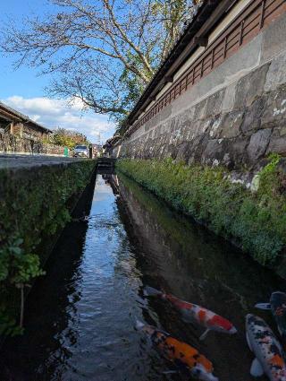 飫肥城の登城記録(泰成さん)