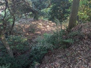 高鍋城（財部城）の登城記録(泰成さん)