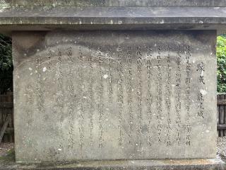 綾城の登城記録(キャッスルさん)