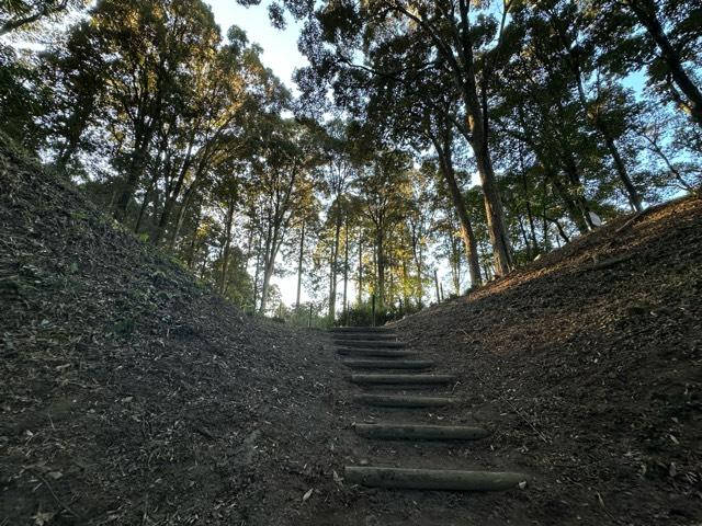 宮崎県宮崎市高岡町小山田小山田９１８ 穆佐城の写真3