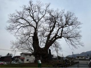 東根城の登城記録(忍さん)