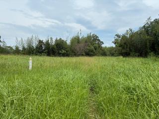 佐土原城の登城記録(キャッスルさん)