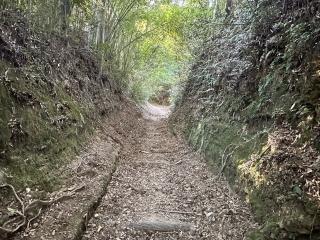佐土原城の登城記録(清正さん)
