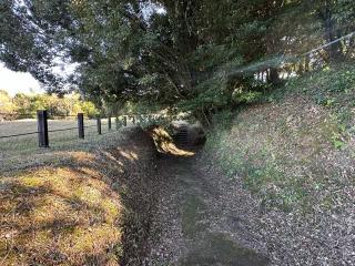 都於郡城の登城記録(清正さん)