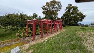 丸岡城の登城記録(ニャン川さん)