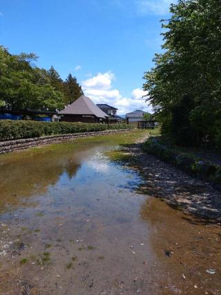 丸岡城の登城記録(haharunさん)