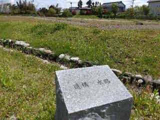 丸岡城の登城記録(haharunさん)