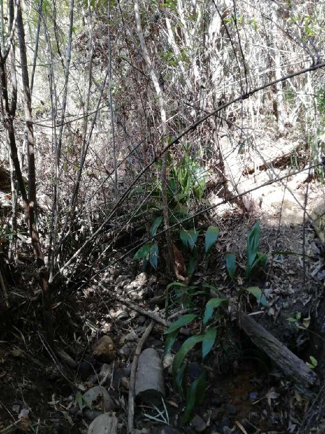 宮崎県東諸県郡国富町木脇 木脇城の写真3