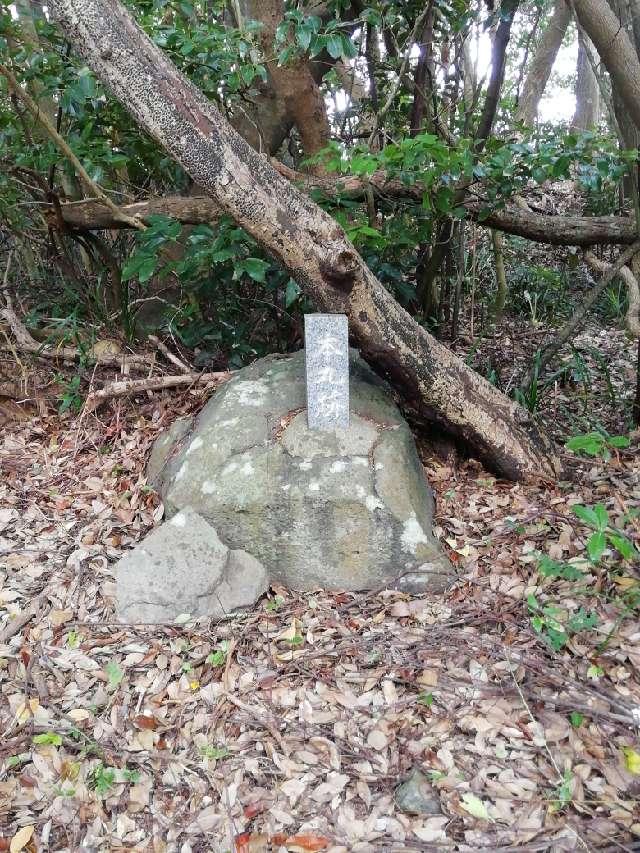 鹿児島県出水郡長島町城川内７３２ 堂崎城の写真3