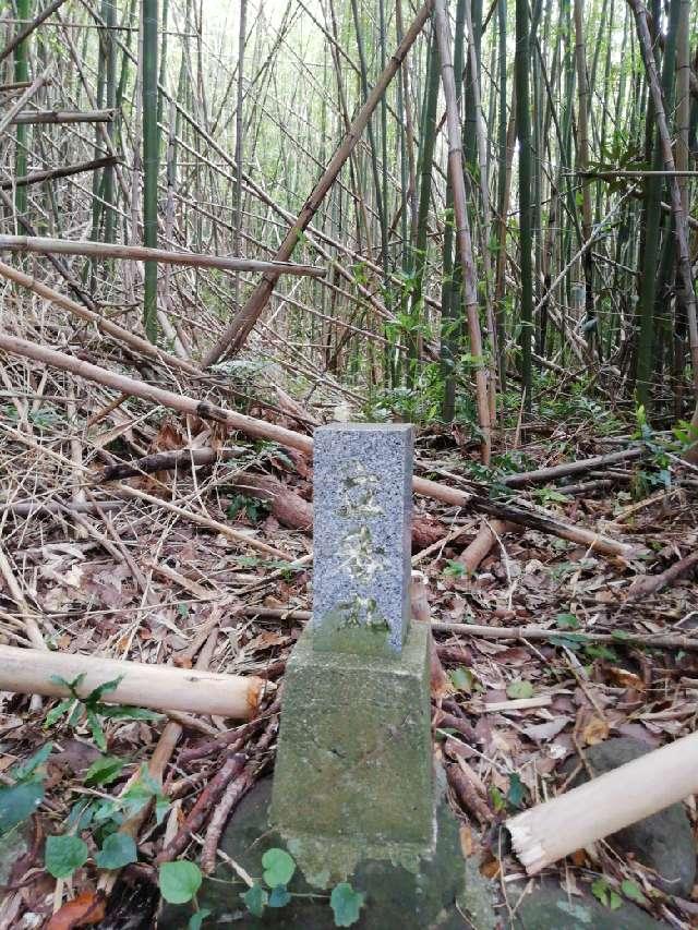鹿児島県出水郡長島町城川内７３２ 堂崎城の写真7