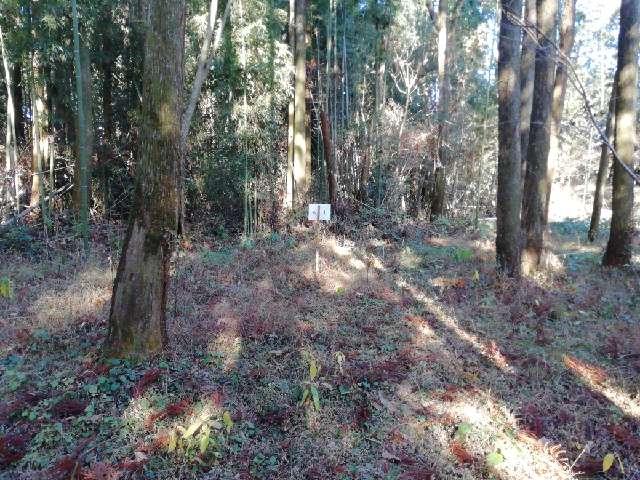 鹿児島県伊佐市大口里 大口城の写真2