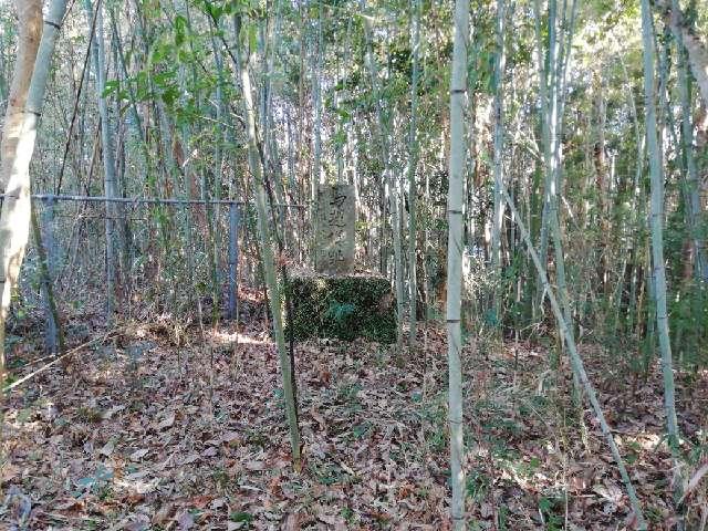 鹿児島県伊佐市菱刈前目 馬越城の写真2