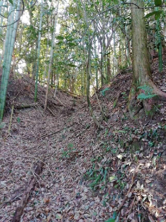 鹿児島県伊佐市菱刈前目 馬越城の写真3