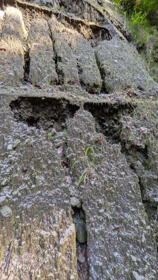 知覧城の登城記録(ニャン川さん)