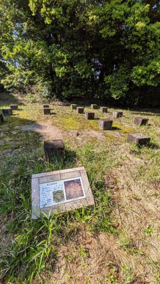 知覧城の登城記録(ニャン川さん)