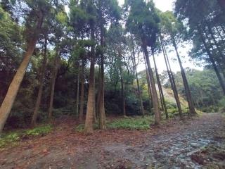 知覧城の登城記録(タケローさん)