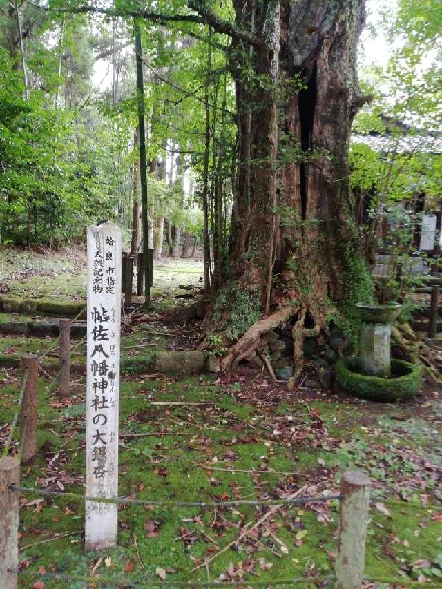 鹿児島県姶良市鍋倉 平山城（薩摩国）の写真2