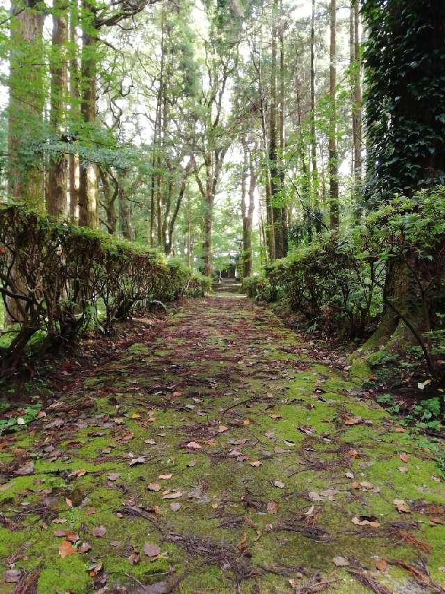 鹿児島県姶良市鍋倉 平山城（薩摩国）の写真3