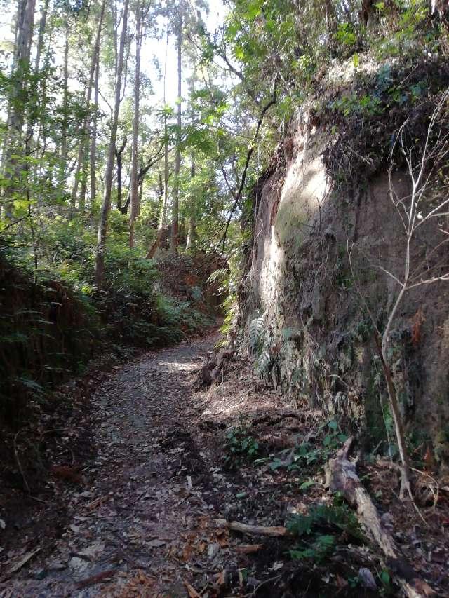 鹿児島県霧島市国分清水 清水城（舞鶴城）の写真2