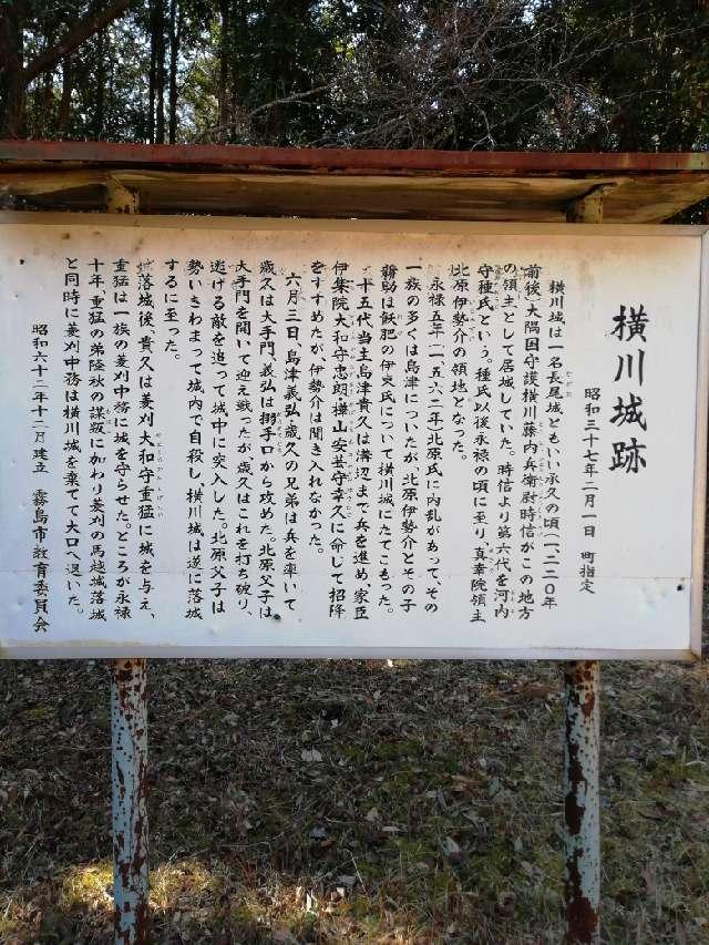 鹿児島県霧島市横川町中ノ 横川城の写真3