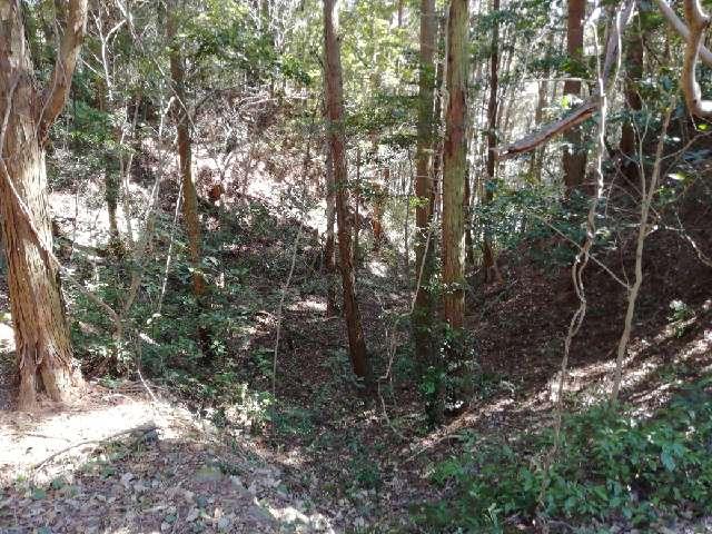 鹿児島県霧島市横川町中ノ 横川城の写真5