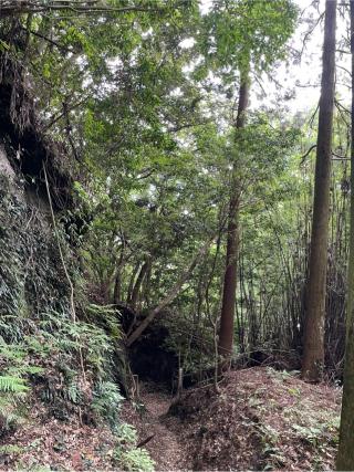 志布志城の登城記録(kenken725さん)