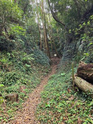 志布志城の登城記録(jinさん)