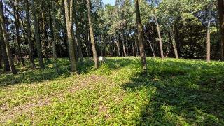 志布志城の登城記録(ニャン川さん)