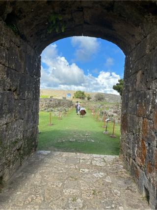中城城の登城記録(キャッスルさん)