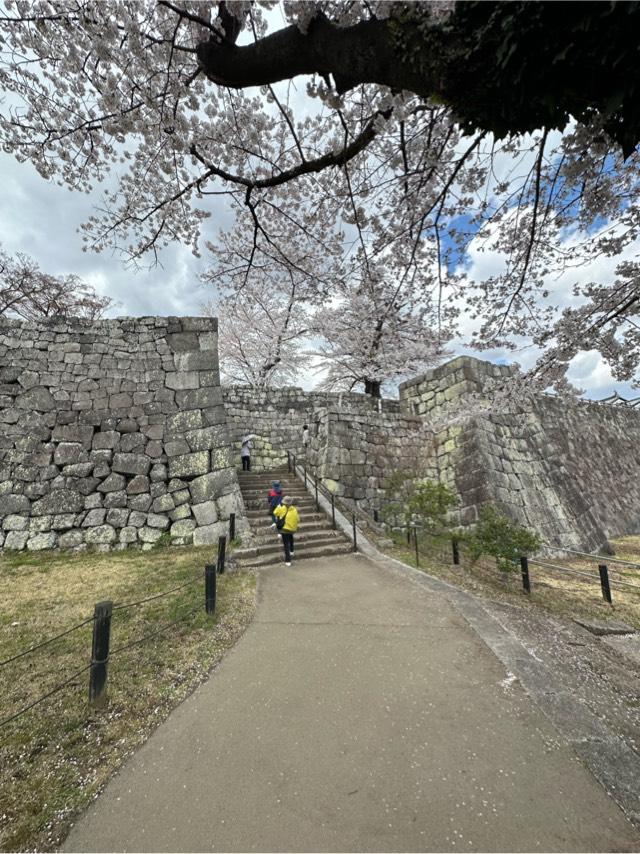 福島県白河市郭内 白河小峰城の写真2