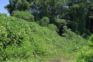 神指城の登城記録(こにーさん)