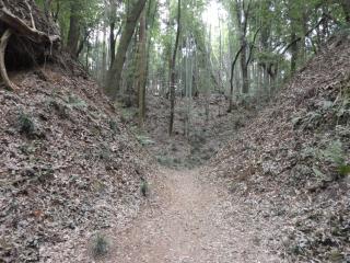 小幡城の登城記録(まさかずさん)