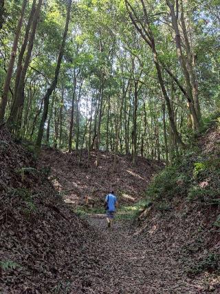 小幡城の登城記録(マリリさん)
