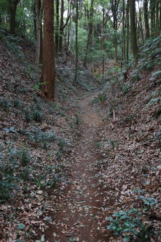 小幡城の登城記録(こにーさん)