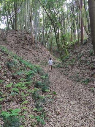 小幡城の登城記録(よっしーさん)