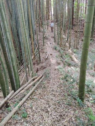 小幡城の登城記録(よっしーさん)