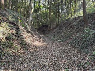 小幡城の登城記録(Wattさん)