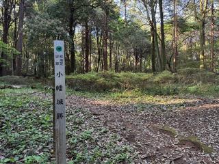 小幡城の登城記録(Wattさん)