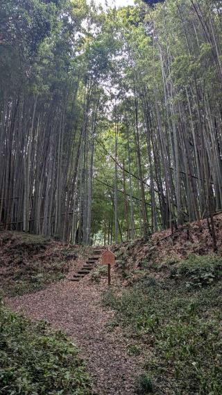 小幡城の登城記録(ニャン川さん)