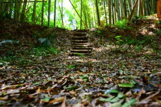 小幡城の登城記録(rinさん)