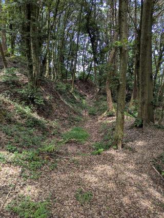 烏帽子形城の登城記録(034eNaさん)