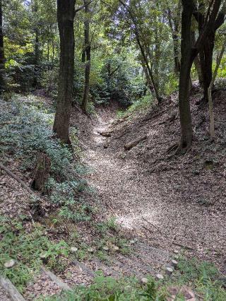 烏帽子形城の登城記録(034eNaさん)