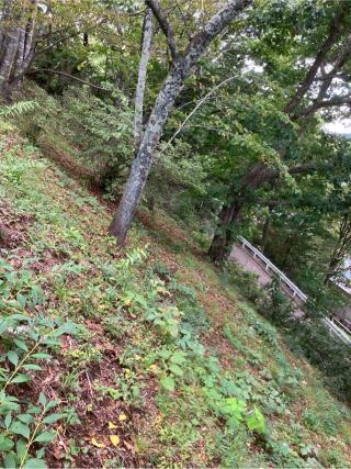 川崎城（前川城）の登城記録(監督さん)