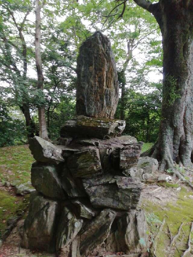 大津山城の写真1