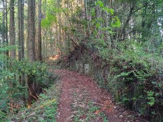 津賀牟礼城の登城記録(タケローさん)