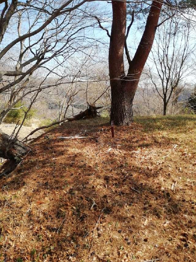 大分県竹田市直入町大字長湯 山野城（朽網城）の写真3
