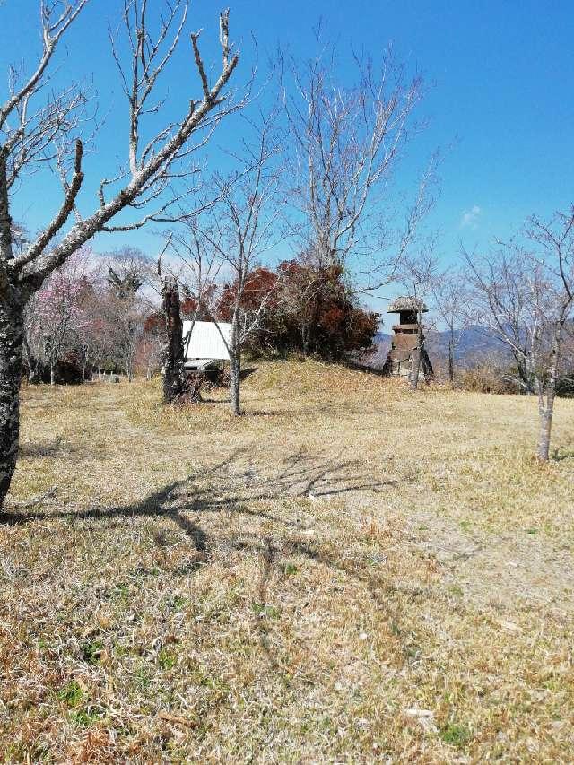 大分県竹田市会々3221 騎牟礼城の写真2