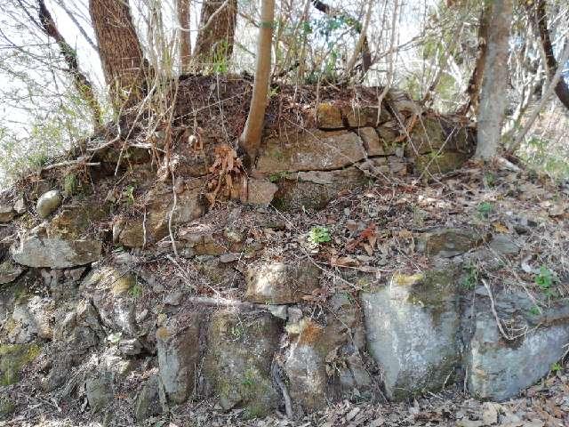 大分県竹田市会々3221 騎牟礼城の写真4